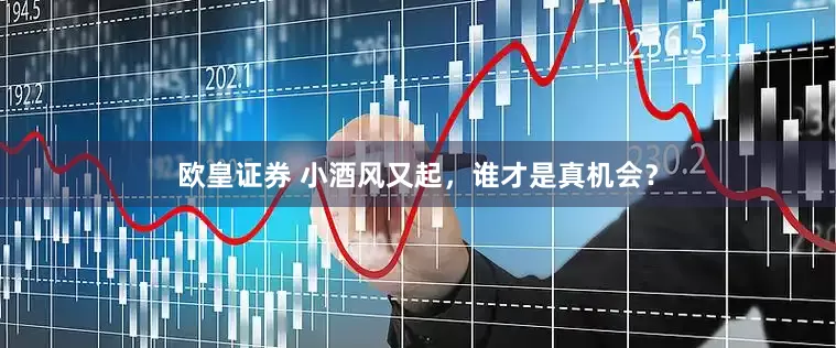 欧皇证券 小酒风又起，谁才是真机会？