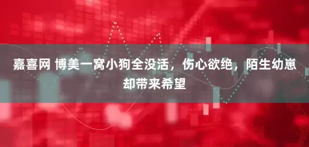 嘉喜网 博美一窝小狗全没活，伤心欲绝，陌生幼崽却带来希望