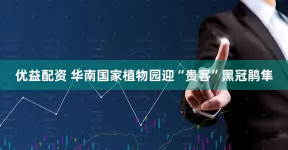 优益配资 华南国家植物园迎“贵客”黑冠鹃隼