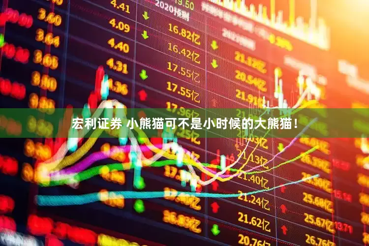 宏利证券 小熊猫可不是小时候的大熊猫！