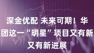 深金优配 未来可期！华峰集团这一“明星”项目又有新进展